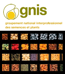 Semences_agriculture